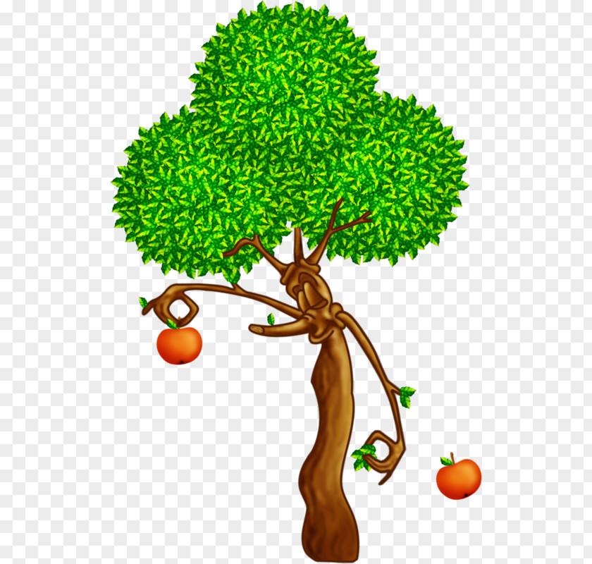 Tree Branch Oak Apples Plant PNG