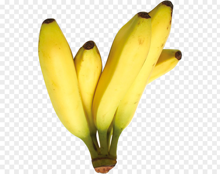 Banana Saba Cooking PNG