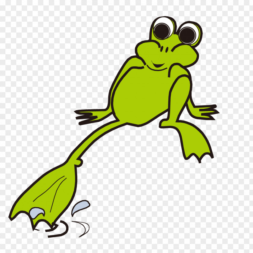 Splashing Frog Vector Amphibian Clip Art PNG