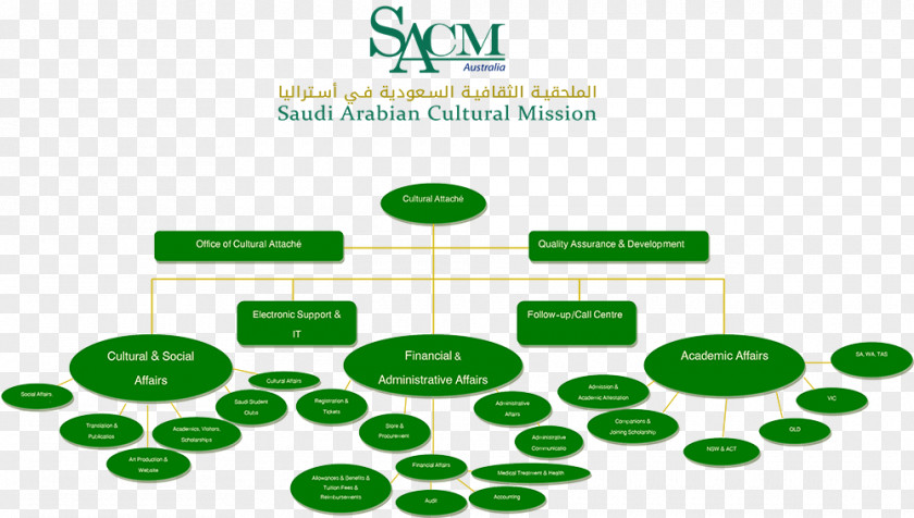 Supply Chain Organizational Structure Saudi Arabian Cultural Mission To The US Organization Culture Statement PNG