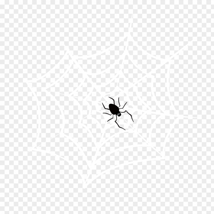White Spider Web PNG