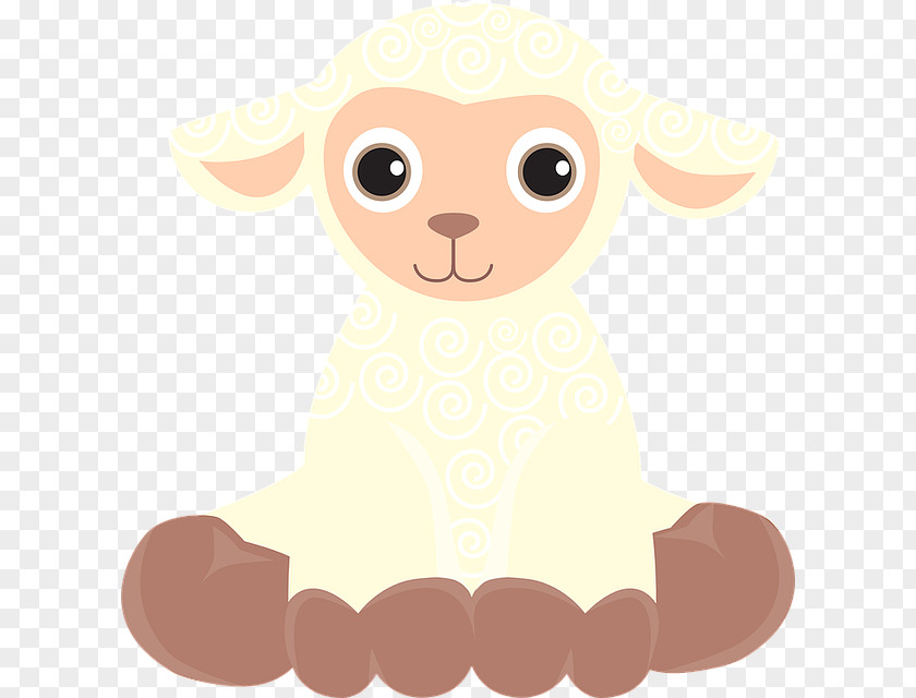 Cute Cartoon Lamb PNG