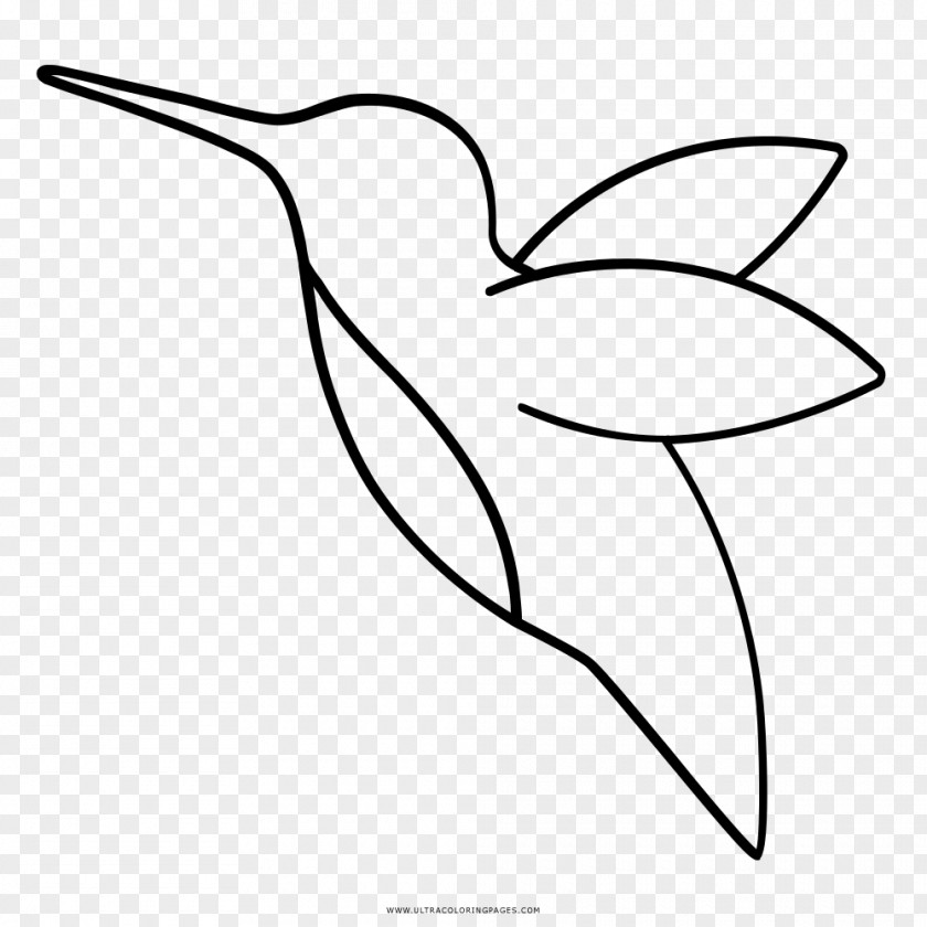 Flower Hummingbird Drawing Beak Black And White Clip Art PNG