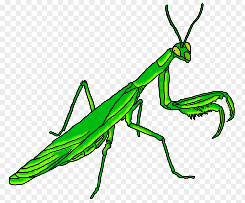 Ghoul 15 March Insect Clip Art PNG