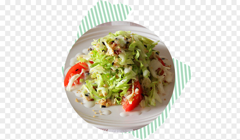Lettuce Tomatoes Tuna Salad Coleslaw Caesar Vegetarian Cuisine Side Dish PNG