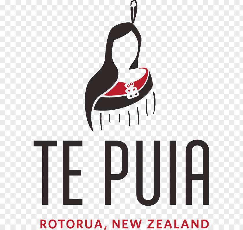 Maori Art New Zealand Māori Arts And Crafts Institute Pohutu Geyser Logo Culture PNG