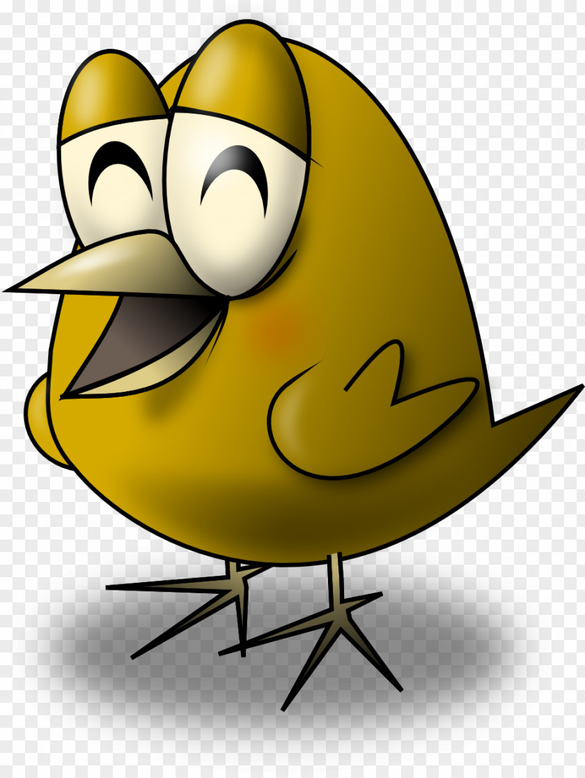Birds Drawing Cartoon Clip Art PNG