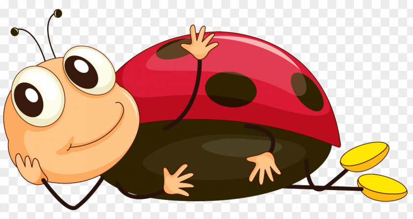 Design Ladybird Beetle Cartoon Clip Art PNG