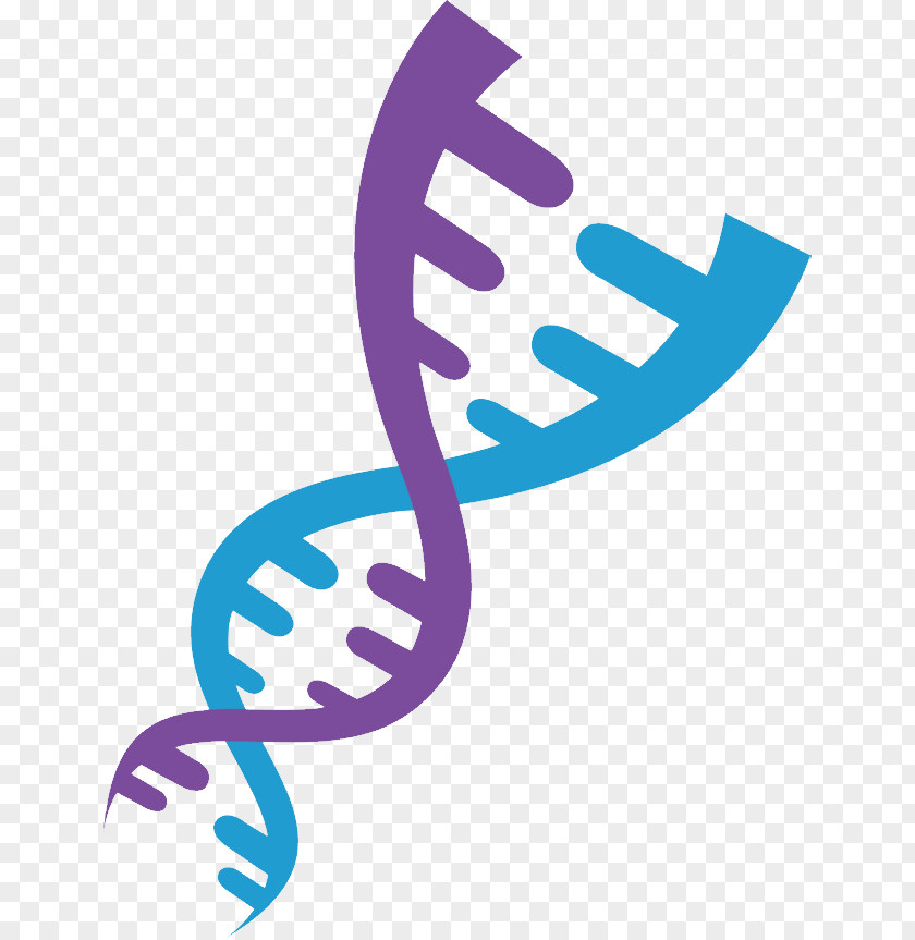 Dna Phenotyping DNA Clip Art PNG