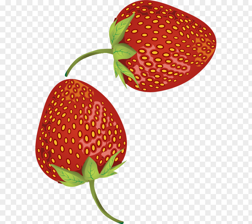 Strawberry Vector Material Aedmaasikas PNG