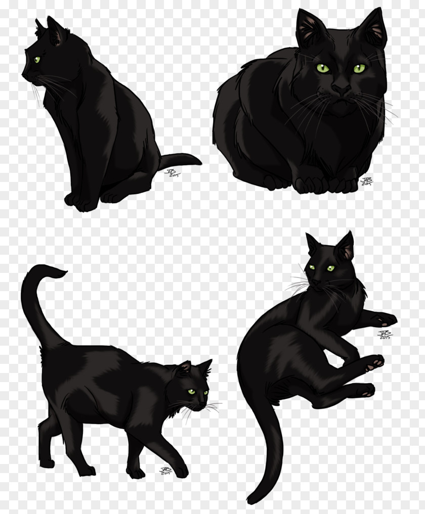 Cat Black Vector Graphics Pet Image PNG
