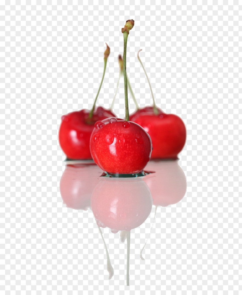 Cherry Yantai Price Wholesale Catty PNG