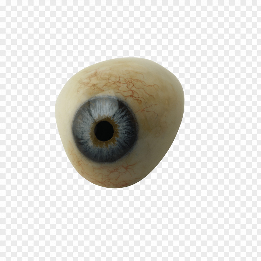 Eye Image Eyelash Pupil PNG