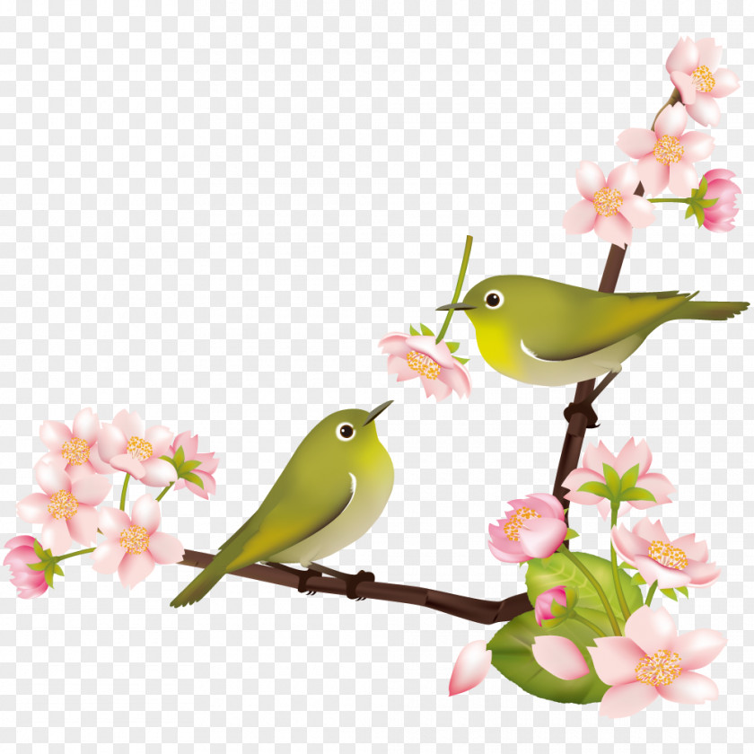 Cherry Blossom Japanese White-eye Bush Warbler Bird 鶯色 PNG
