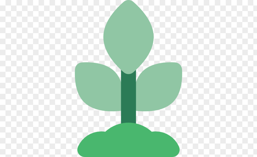 Leaf Clip Art PNG