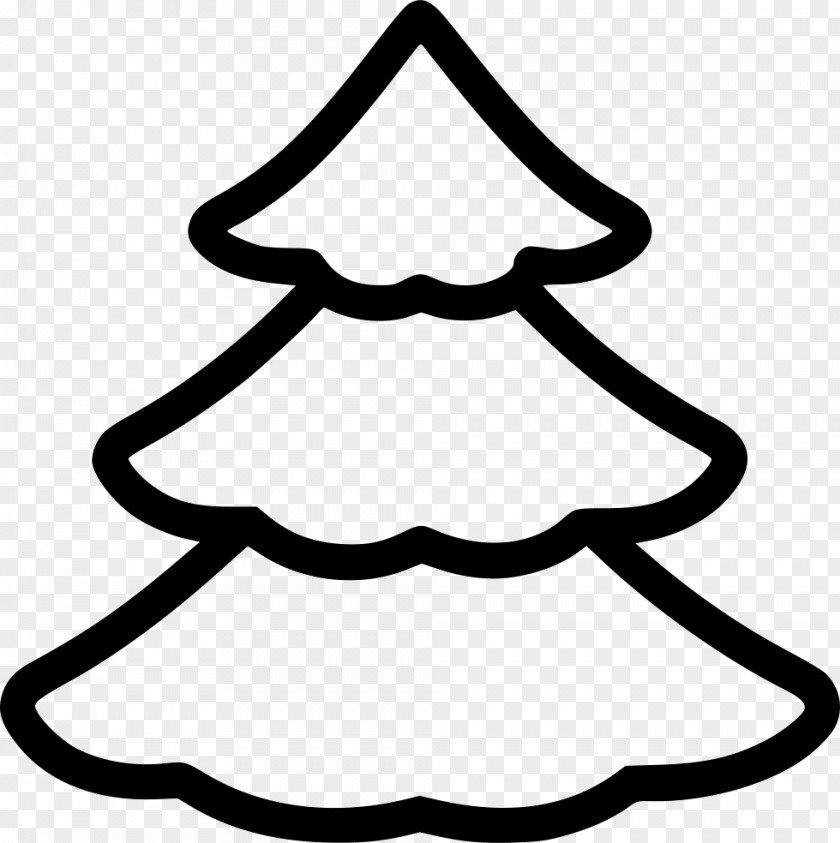 Spruce Tree Drawing Clip Art PNG