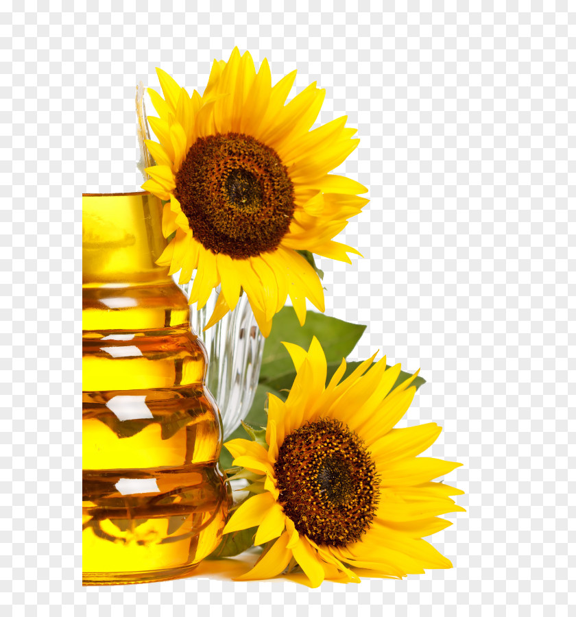 Sunflower Seed Cooking Oil Food PNG
