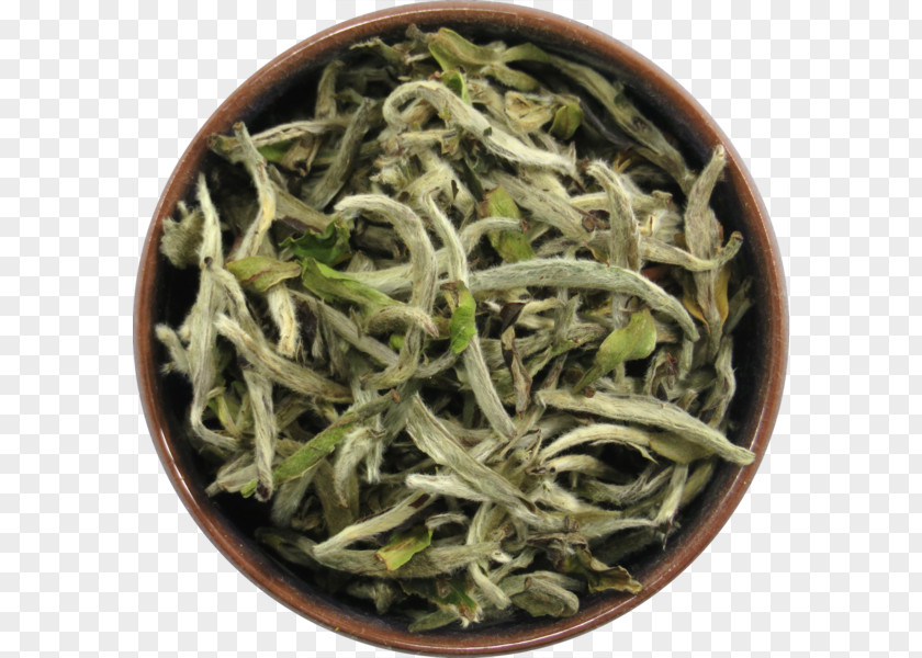 Tea Hōjicha Nilgiri Baihao Yinzhen Longjing White PNG