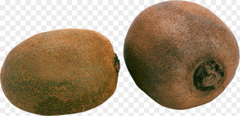Two Kiwis Image Picture Kiwifruit Actinidia Deliciosa Chinensis PNG