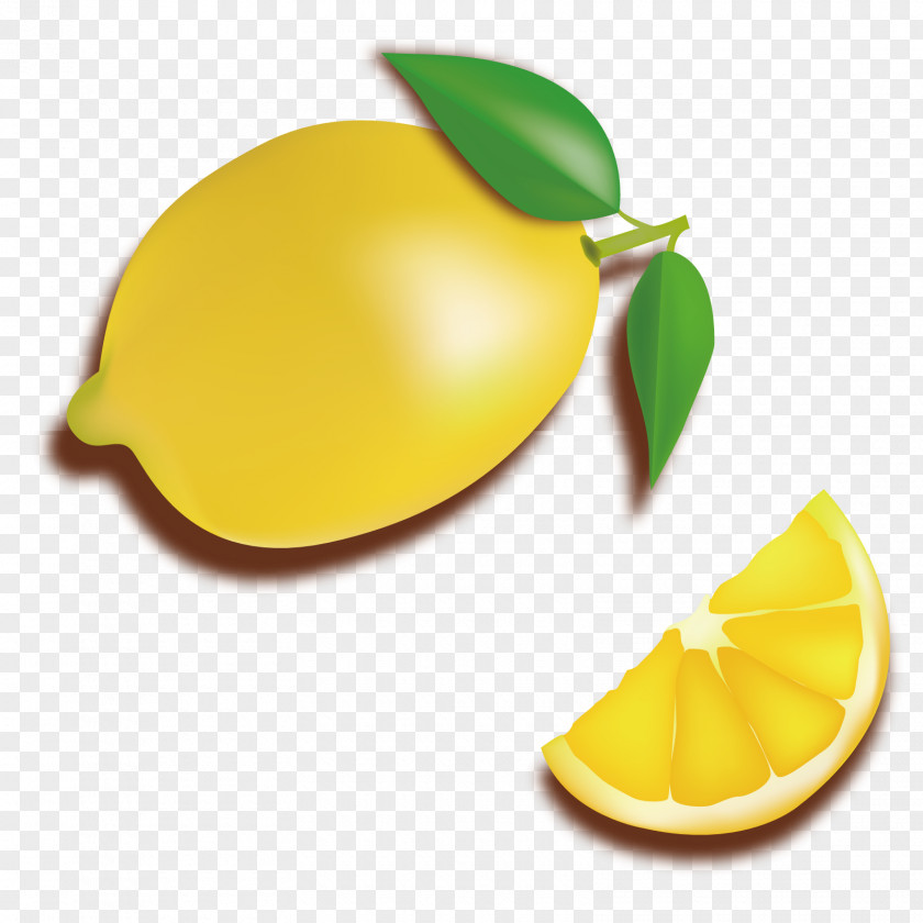 Vector Lemon Slices Food PNG