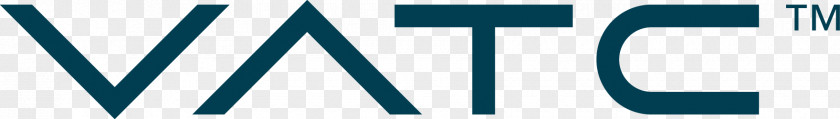 Bohemia Interactive Logo Brand Line PNG