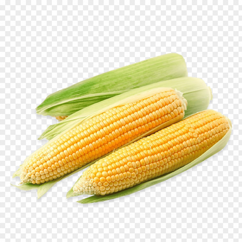 Corn On The Cob Candy Clip Art PNG