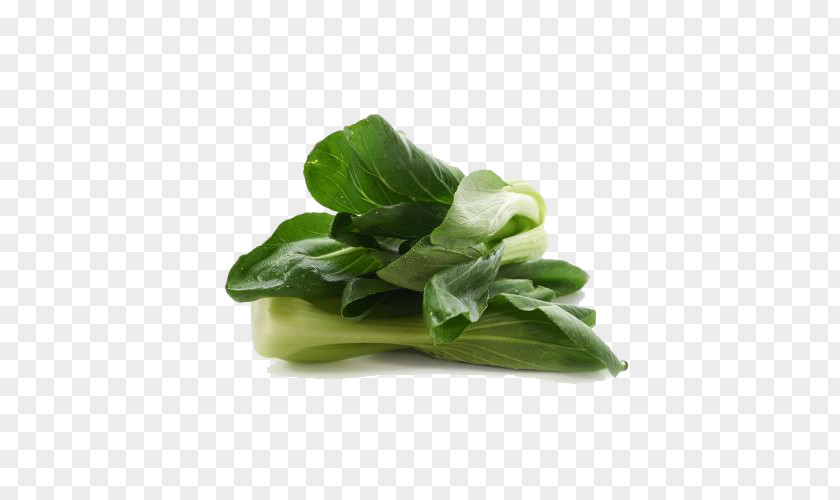 Delicious Cabbage Choy Sum Spinach Romaine Lettuce Spring Greens Leaf Vegetable PNG
