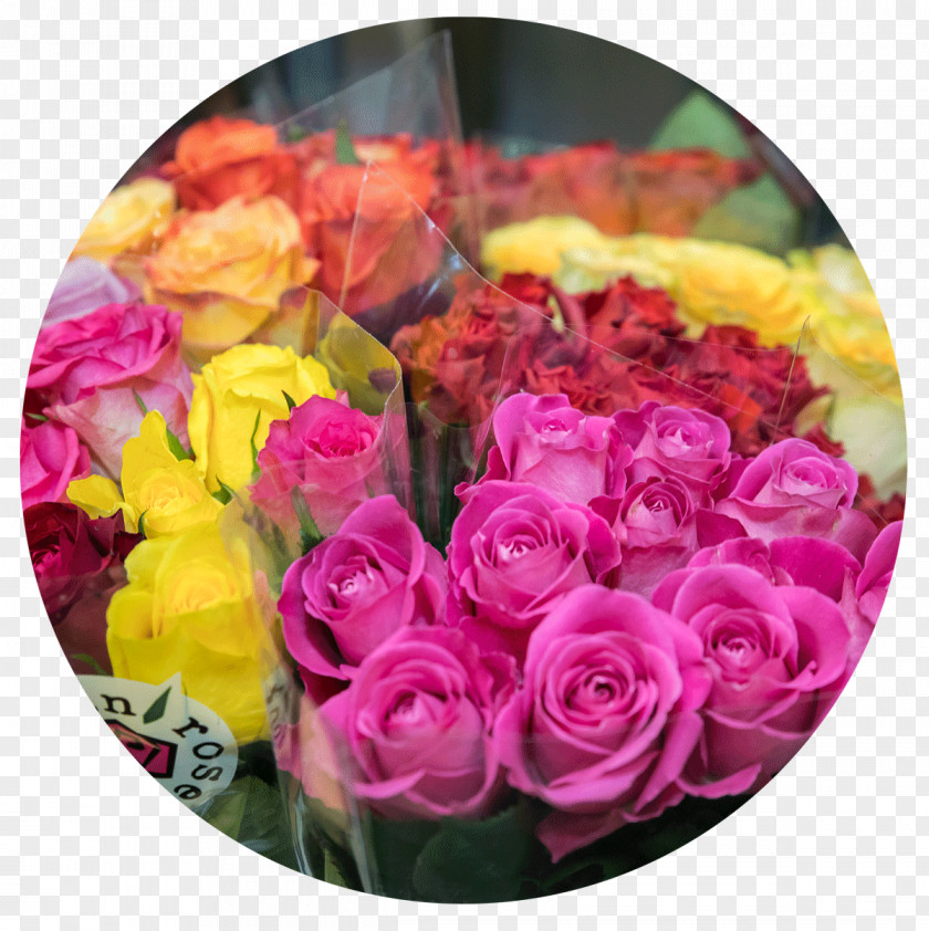 Flower Garden Roses Blumen Baccara Cut Flowers PNG