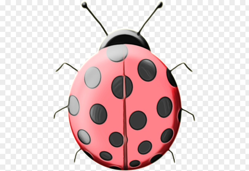 Jewel Bugs Ladybug PNG