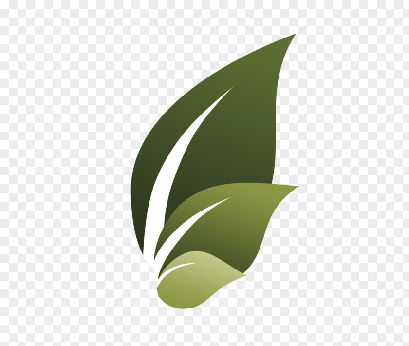 Leaf Tidewater Finance Company New Life VB Presbyterian Church Plant Stem PNG