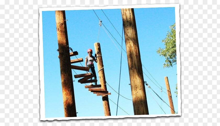 Rope Course YMCA Camp Arbolado Woman Of Greater Whittier Leadership College PNG