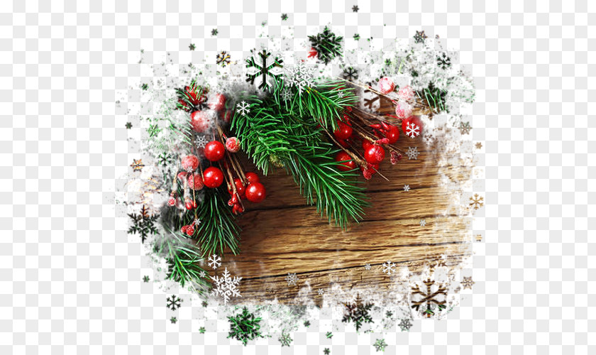 Santa Claus Fir Christmas Ornament Day Tree PNG