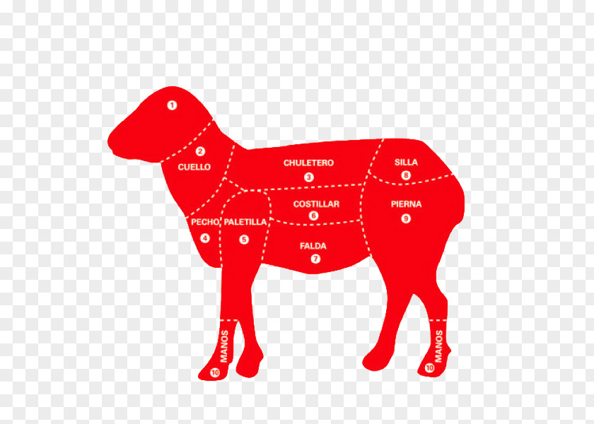 Sheep Agneau Meat Lamb And Mutton Bacon PNG