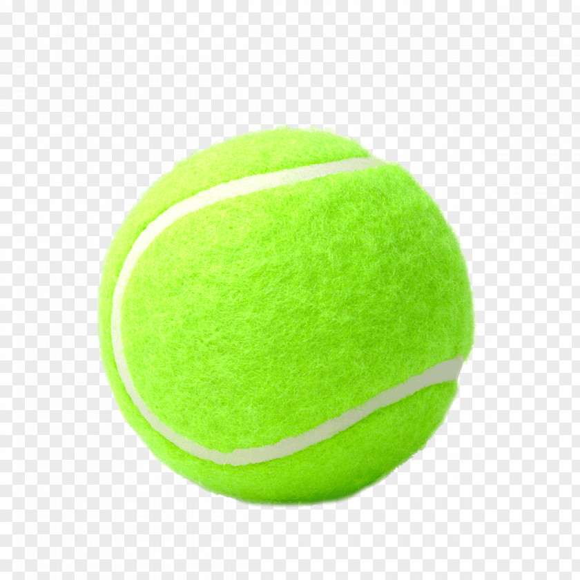 Tennis Ball Balls Photograph Illustration PNG