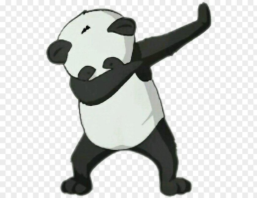 Bear Giant Panda Dab Cuteness PNG