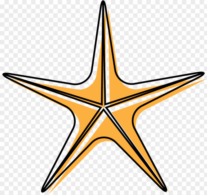 Clip Art Angle Line Starfish Point PNG
