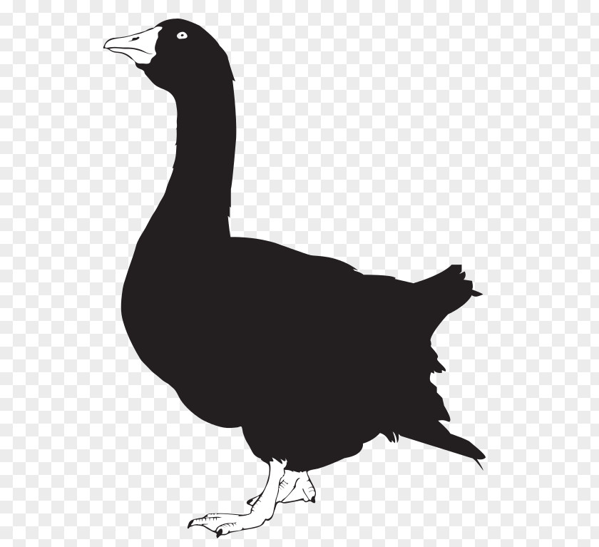 Goose Silhouette Clip Art Image PNG