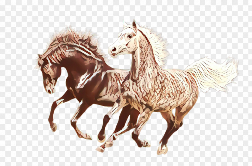 Horse Mane Stallion Animal Figure Drawing PNG