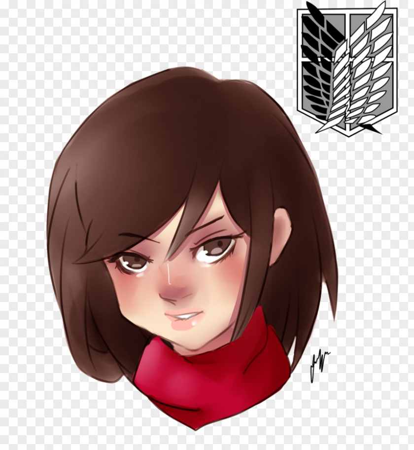 Mikasa Ackerman Attack On Titan Art Eyebrow Hair PNG