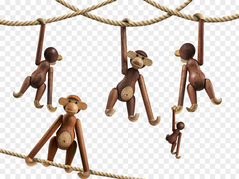 Monkey Teak Ape Primate PNG