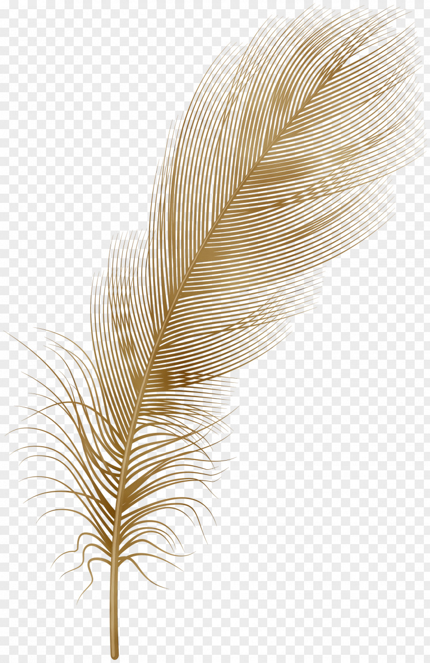 Palm Trees PNG