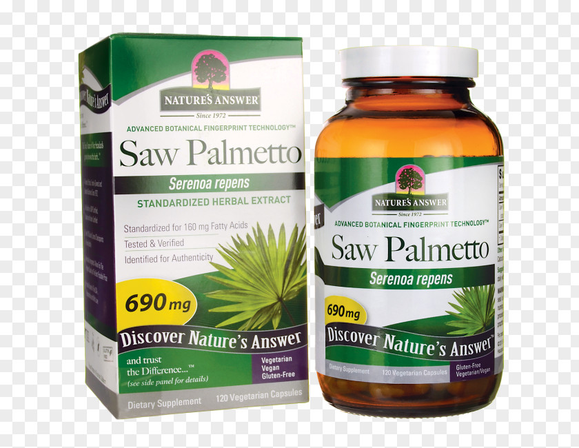 Saw Palmetto Dietary Supplement Extract Herbalism Swanson Health Products PNG