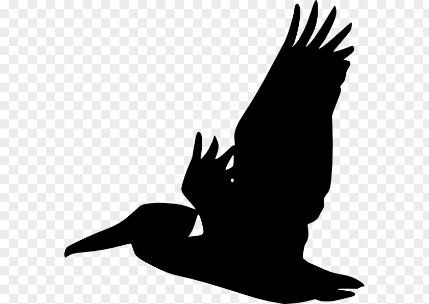 Silhouette Line Art Bird Clip PNG