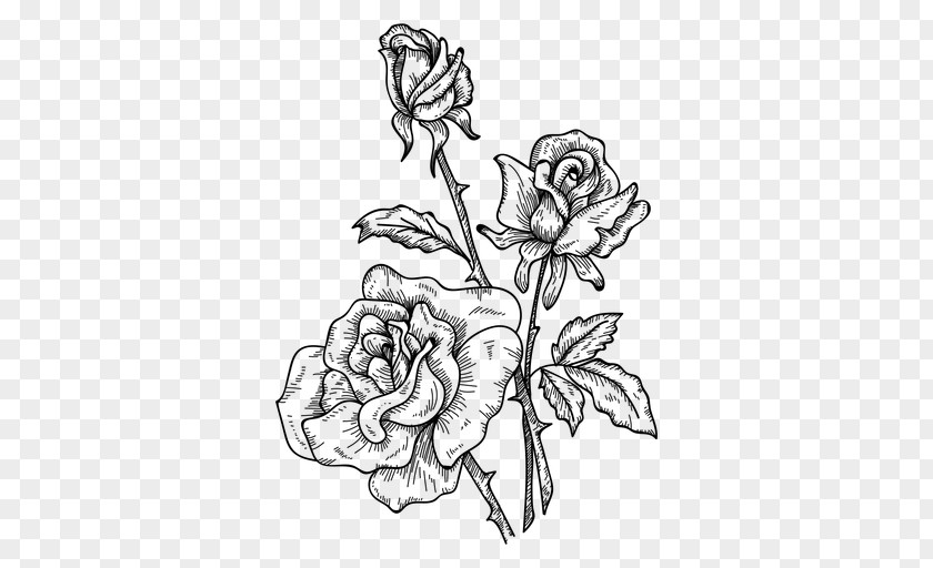 Sketch Flower Drawing Line Art PNG