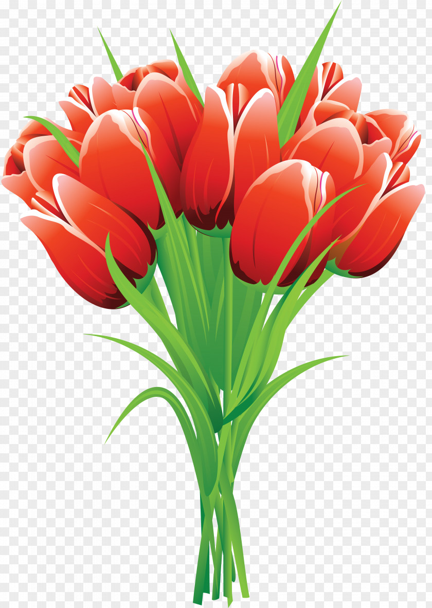 Tulip Flower Bouquet Clip Art PNG