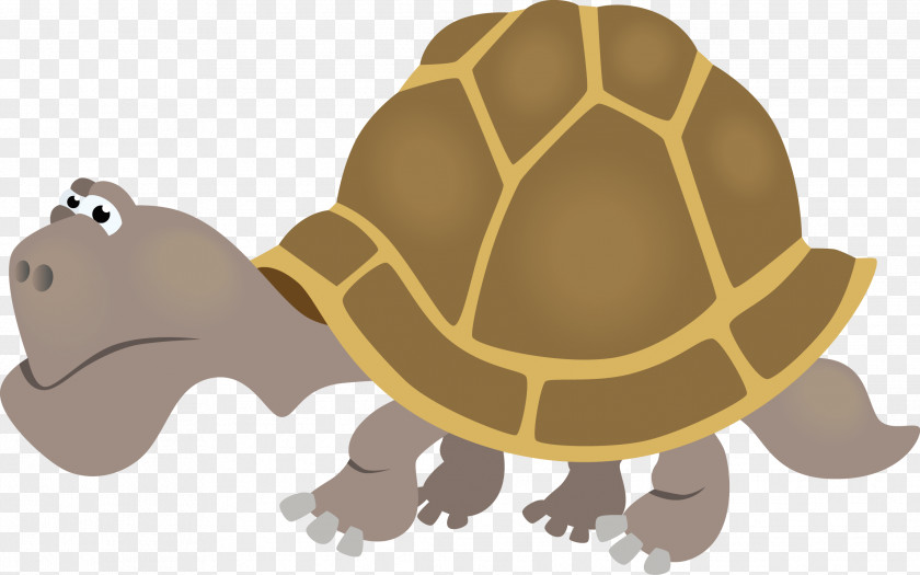 Cartoon Turtle Vector Txe9cnicas De Autocontrol Emocional Emotion Self-control Technique PNG