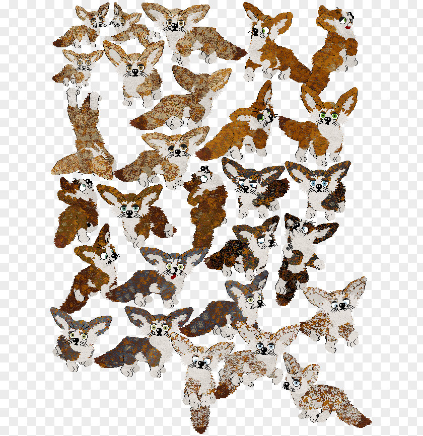 Fennec Fox Fauna Animal PNG