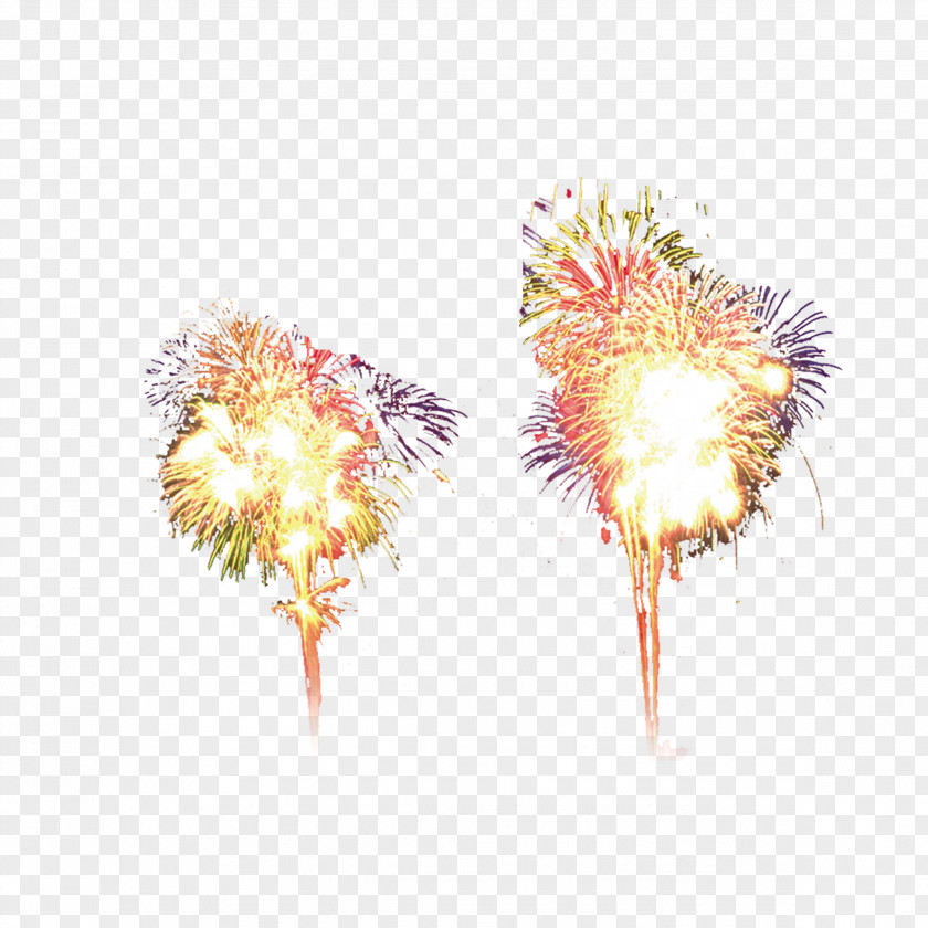 Fireworks Chinoiserie Google Images PNG