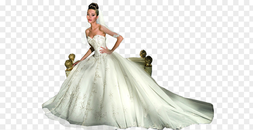 Gelin Damat Wedding Dress Marriage Düğün Bride PNG