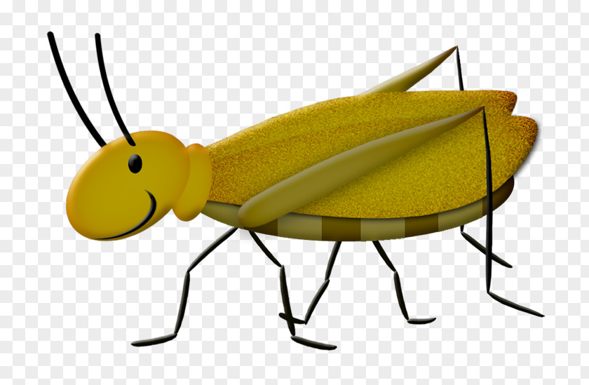 Hand-painted Grasshopper Caelifera Cartoon PNG